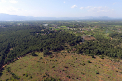 DJI_0009-1