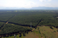 DJI_0010