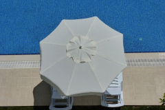 EGE-Die-02