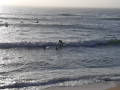 11-Rua-das-Alfazemas-V3-PL-Praia-do-Sul