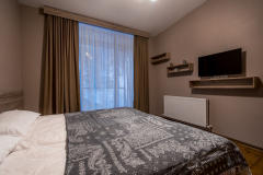 Check-inn-Bakuriani-14