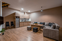 Check-inn-Bakuriani-17