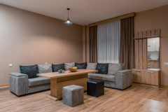 Check-inn-Bakuriani-19