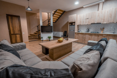 Check-inn-Bakuriani-23