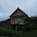 Citizenship In Paradise