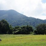 Citizenship In Paradise