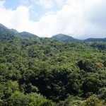 Citizenship In Paradise