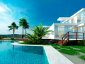 Luxury house with a tropical garden and pool