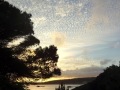 14-Cotovia-V42-DS-Lagoa-de-Albufeira-Beach