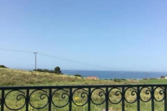 Sitonija