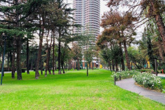 foto_5