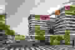 image-021