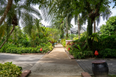 DSC04189