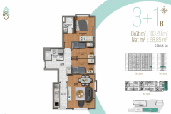 31-B