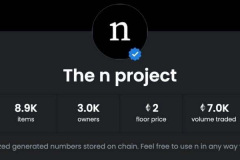 the n project