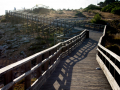 Ferragudo-Algarve-DS-Carvoeiro-Boardwalk