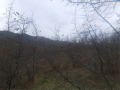 Mtskheta-2