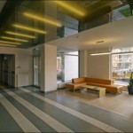 Metropolia