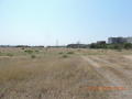 Rustavi-aukcion3