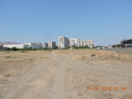 Rustavi-aukcion4