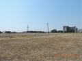Rustavi-aukcion5