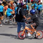 Sugarmas Stkitts And Nevis