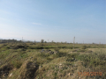 Terjola-4