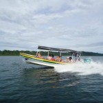 The Brightest Bocas Sights