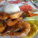 The Brightest Bocas Sights
