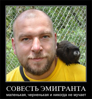 Семь категорий иммигрантов.