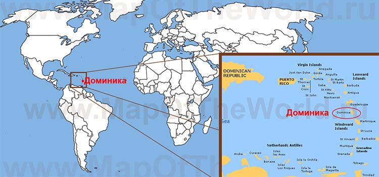 Как мне подать заявку на получение паспорта Содружества Доминики?