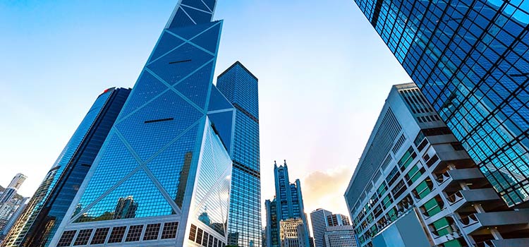 ofis hk