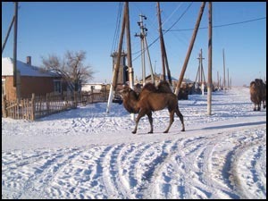 доходы юридических лиц нерезидентов в Казахстане