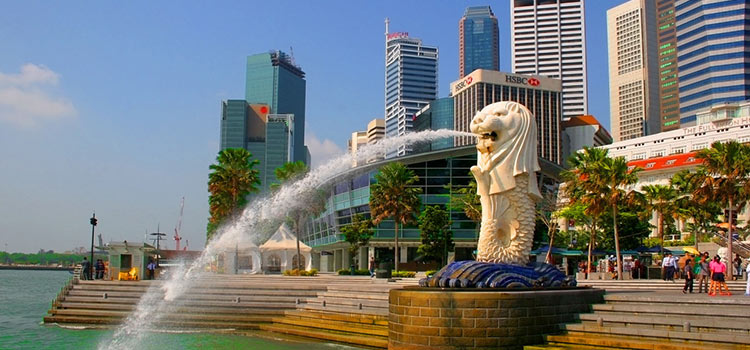 Company Singapore 1