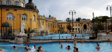 Купить компанию в Венгрии и получить ВНЖ