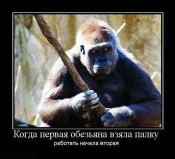 ofshernaja mudrost devjat veskih3
