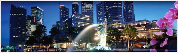 biznes za granicey pocemu singapur2