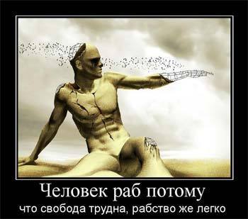 ofshernaja mudrost celovek svobodniy2