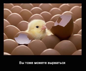 Вы можете вырваться!