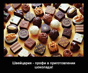offshornie yurist shvecarija profi2