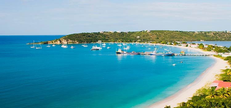 anguilla ofsor
