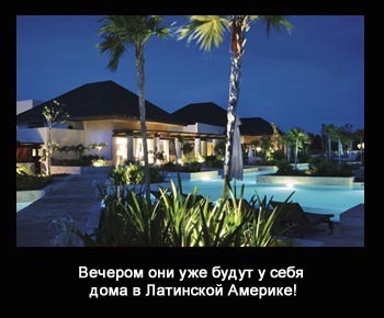 ofshernaja mudrost scastliviy dzo3