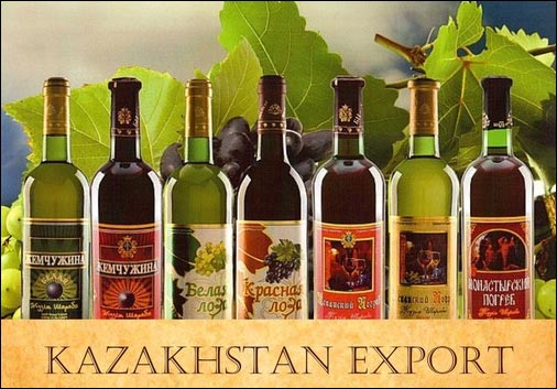 biznes za granicey almata kazah21