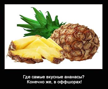 ofshernaja mudrost u kogo7