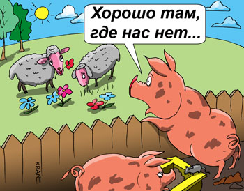 emigracija kit koshel3