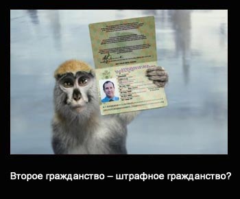 Второе гражданство – штрафное гражданство?