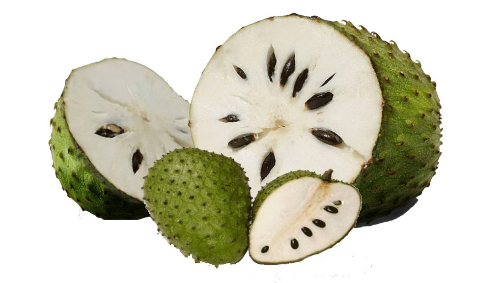 Soursop