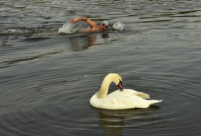 второе гражданство и паспорт Мальты для любителей водных видов спорта