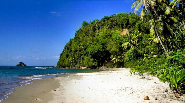 Investment Dominica 5