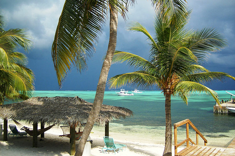 caymans